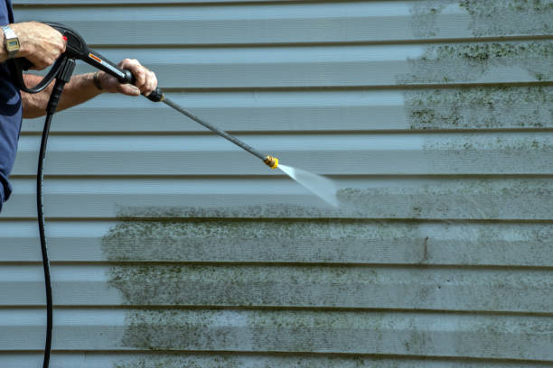 Best Roof Pressure Washing  in Walnut Cove, NC